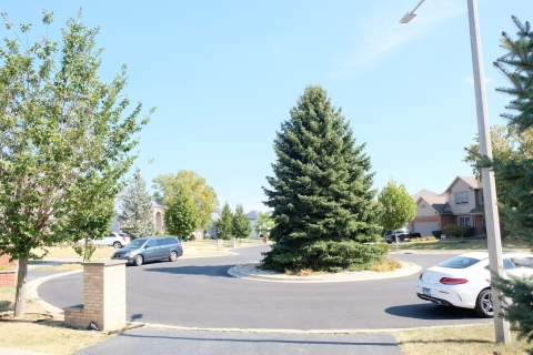 Listing picture 56