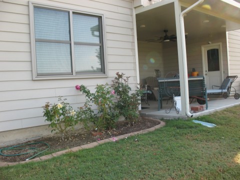 Listing picture 29