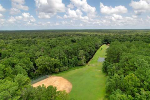 Riverbend Park neighbors the Wekiva Forest.