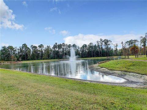 Windermere Isle offers beautiful ponds with water fountains and conversation boundaries to Disney property