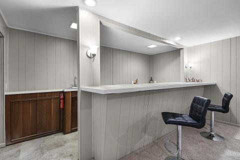 Lower Level wet bar
