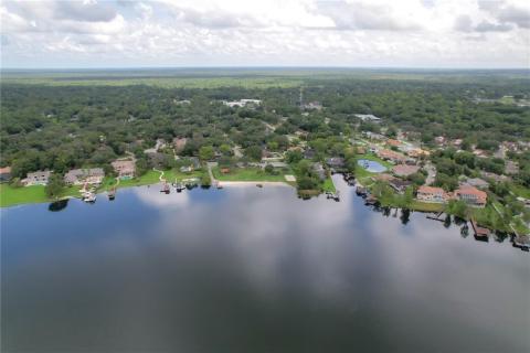 Lake Brantley