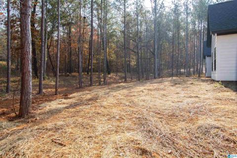 Listing picture 55