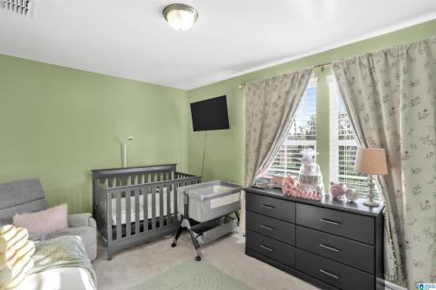 Interior room featuring light green walls, a ceiling-mounted light fixture, and carpeted flooring